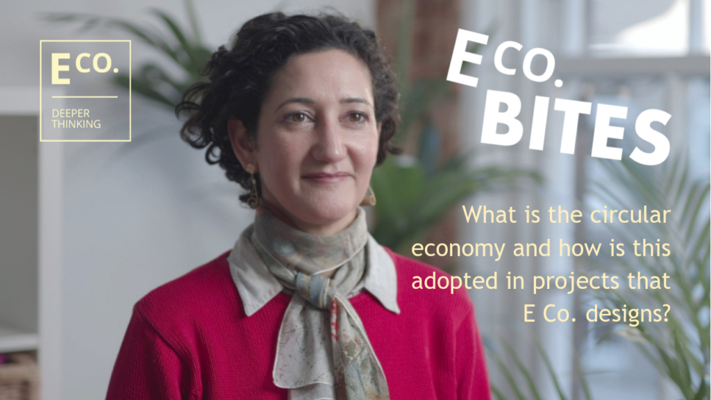 E Co. bites: What is the circular economy and how is this adopted in projects that E Co. designs?