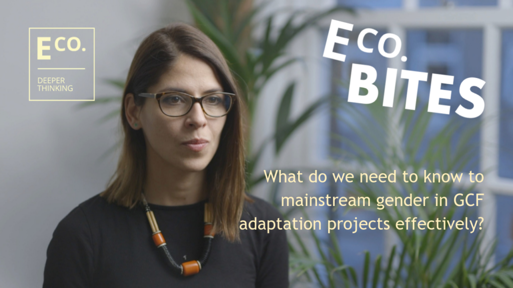 E Co. bites: What do we need to know to mainstream gender in GCF adaptation projects?