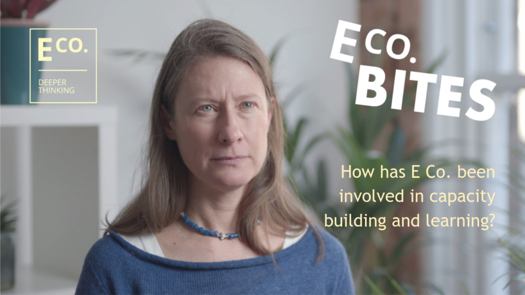 E Co. bites: How has E Co. been involved in capacity building and learning?