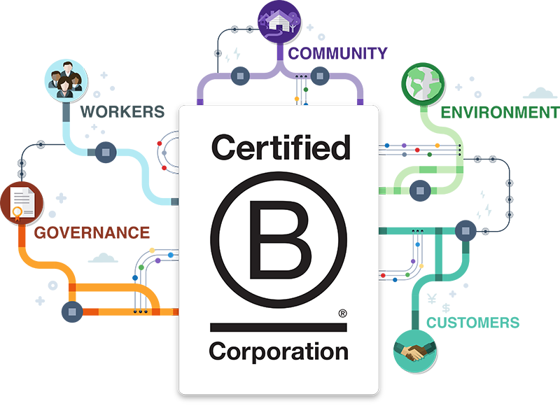 E Co: B Corp-certified!