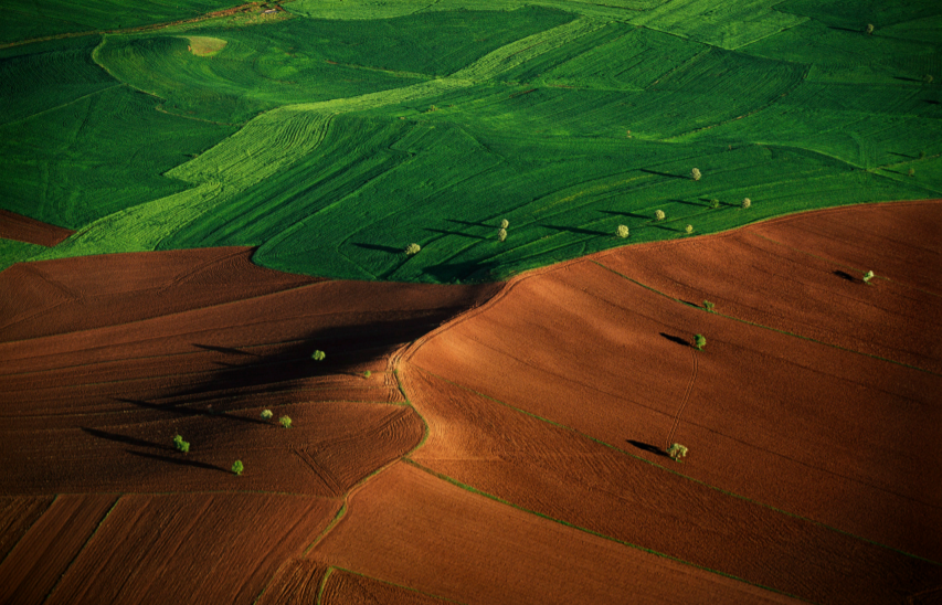 News: IPCC special report on Climate Change and Land