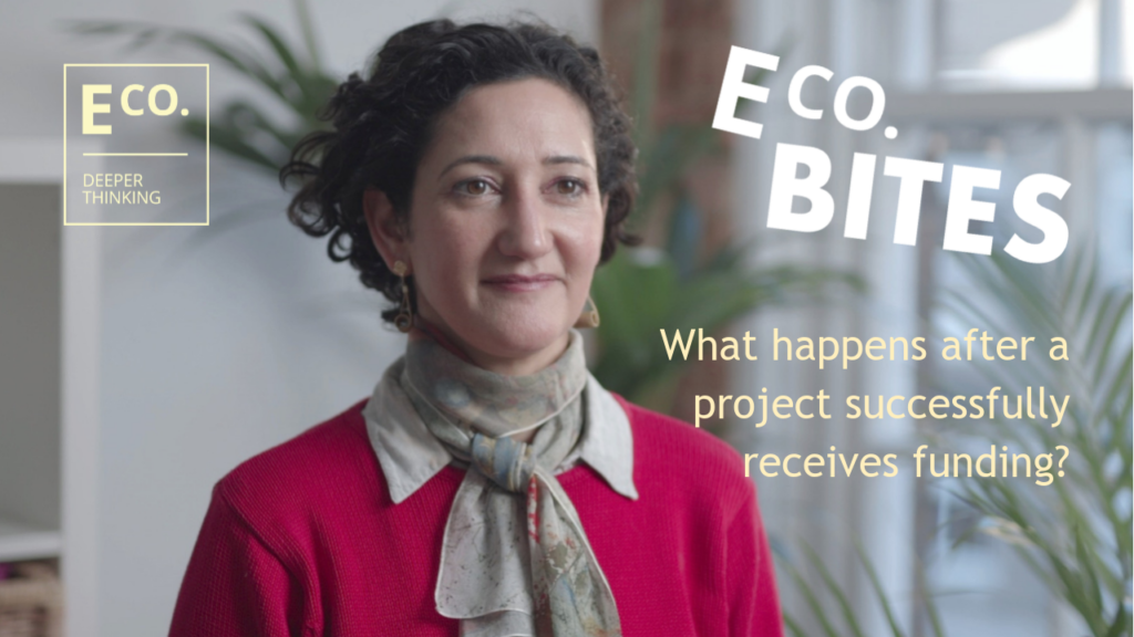 E Co. bites: What happens after a project successfully receives funding?