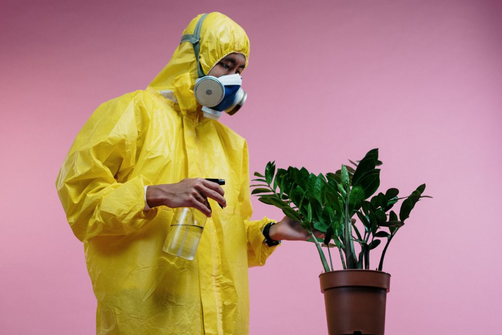 Person In Yellow Coveralls Spraying Plant
