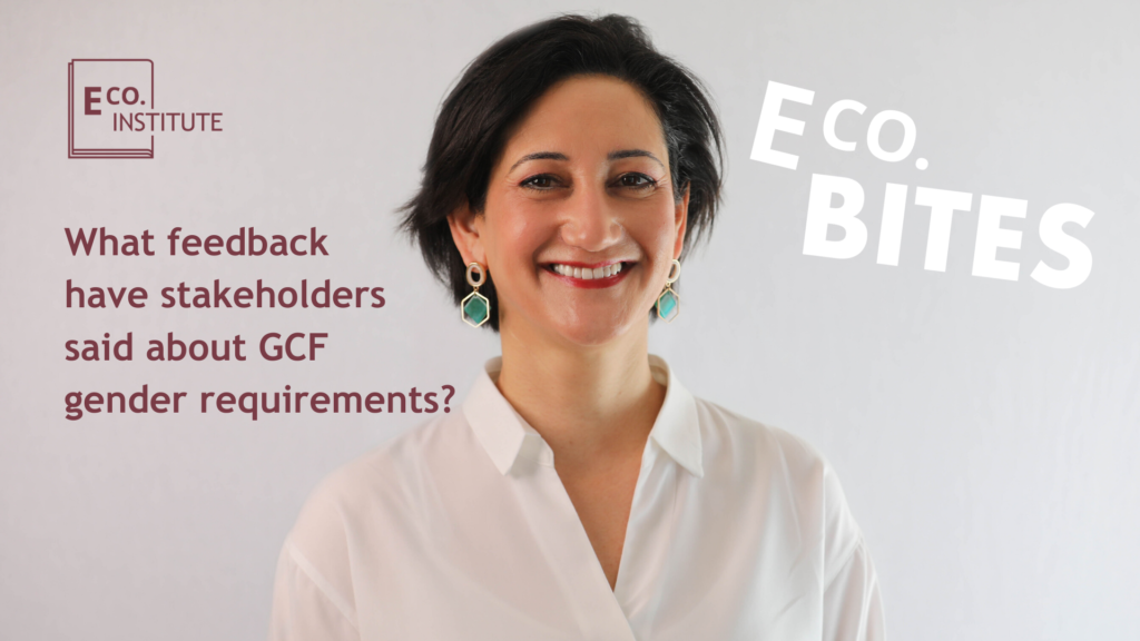 E Co bites: What feedback have stakeholders said about GCF gender requirements?